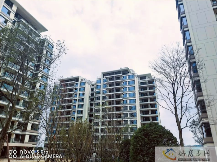 截屏2023-07-31 21.05.11.png