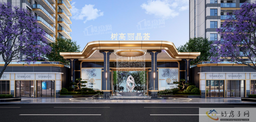树高丽晶荟何时开盘？树高丽晶荟值得等吗？            </h1>(图4)